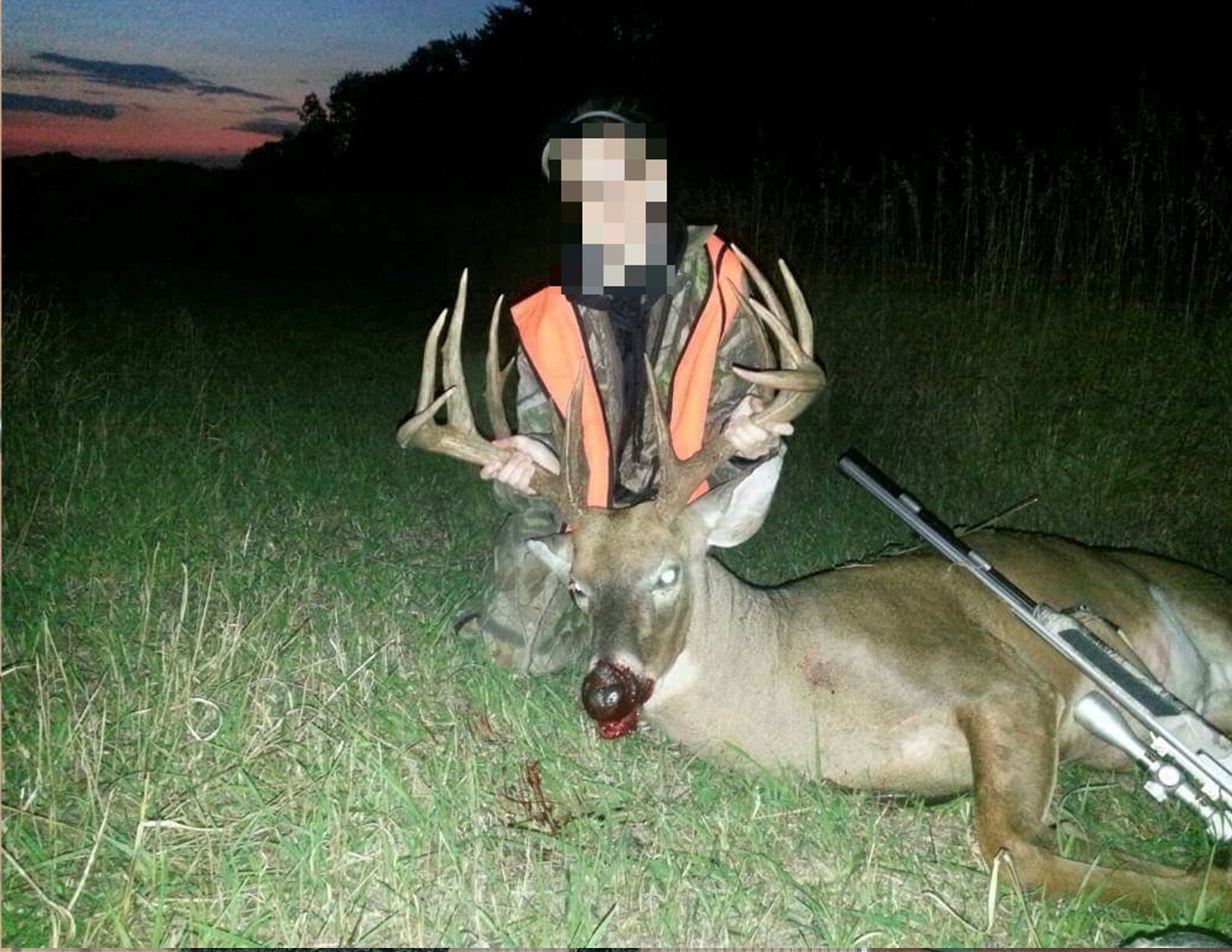 Listing Photo: Two Deer Msucatine 11